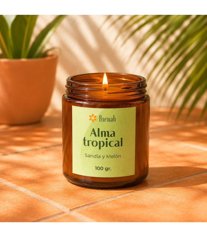 Bienah Vela Aromática Alma Tropical 100gr.