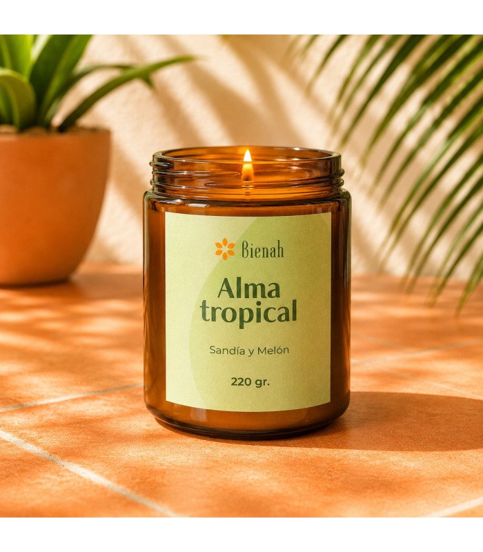 Bienah Vela Aromática Alma Tropical 220gr.