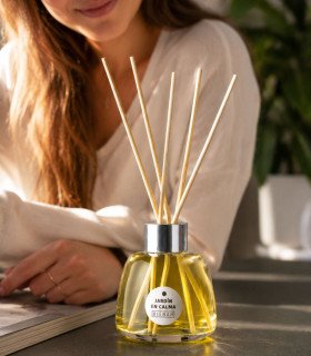 Palitos Aromatizadores Bienah Jardín en Calma 100 ml Hierba Luisa