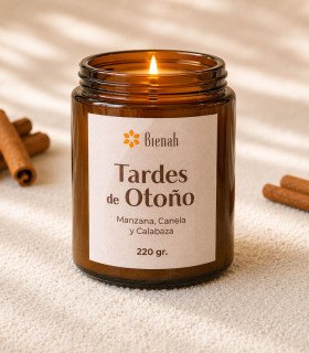 Vela Aromática | Tarde de Otoño | Canela Manzana | Bienah